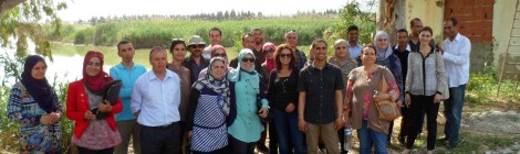Training of engineers and technicians of the Tunisian Ministry of Agriculture on fertigation