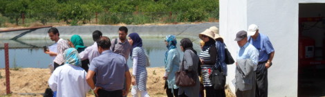 visita Oued Souhil giugno 2015 (19)